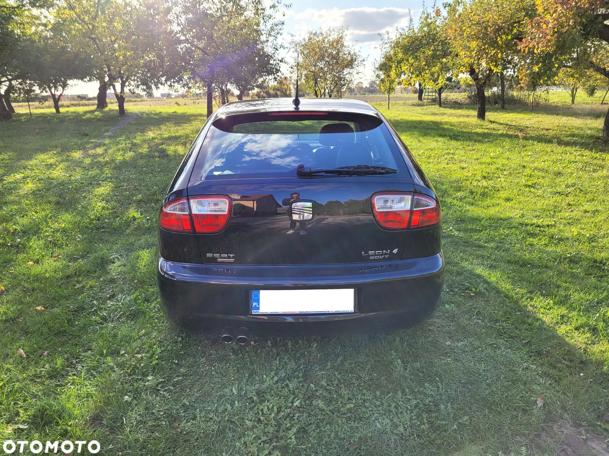 Seat Leon 1.8T Top Sport 4x4 - 15