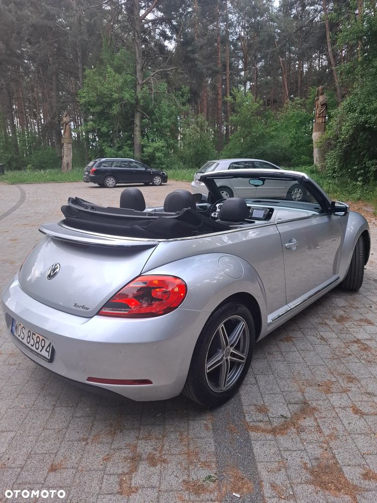 Volkswagen Beetle - 20