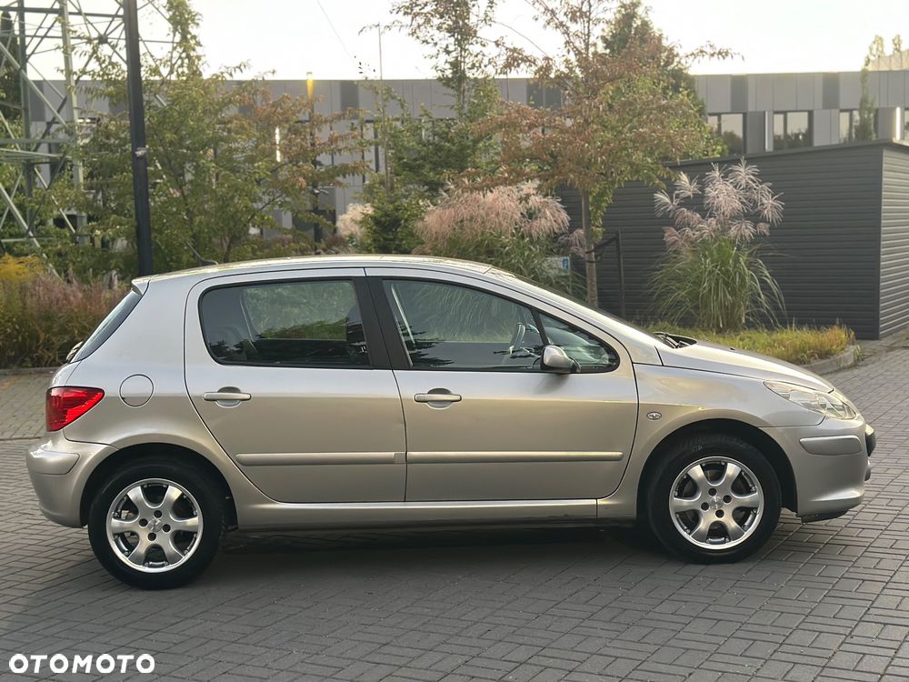 Peugeot 307 - 7