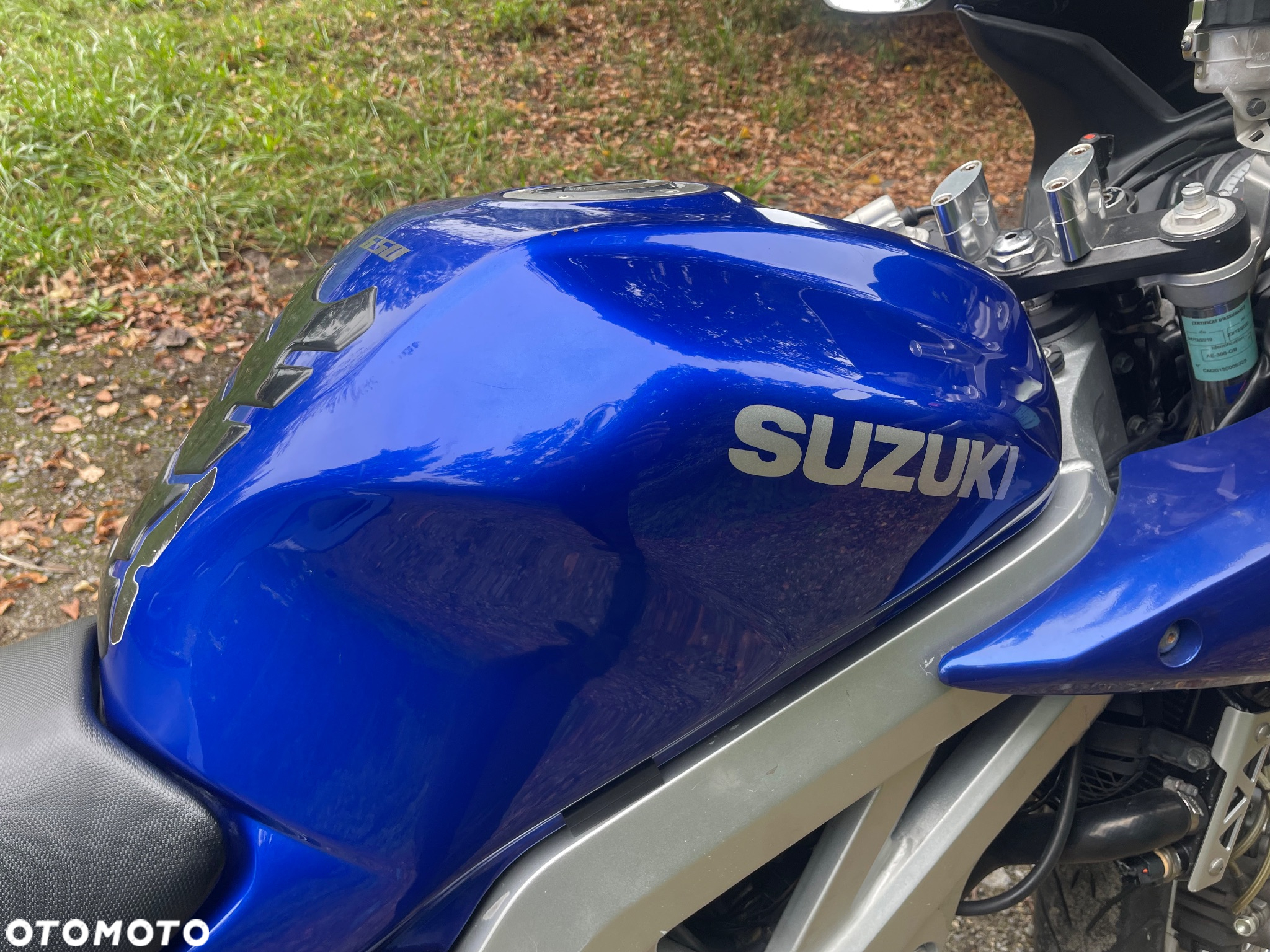 Suzuki SV - 12