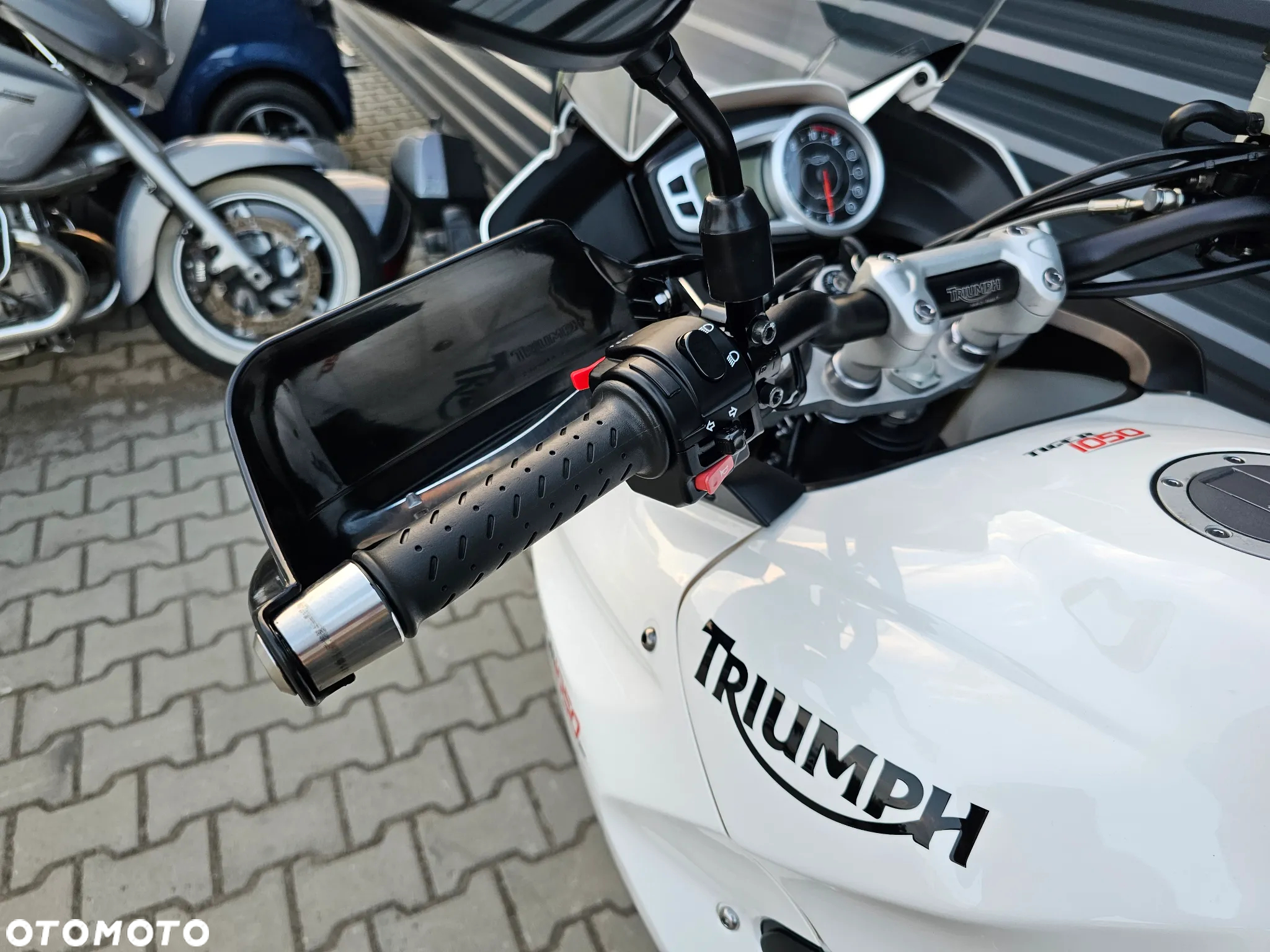 Triumph Tiger - 17