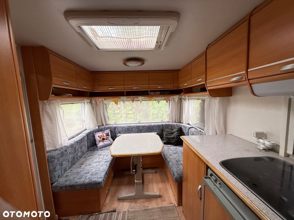Wilk SPORT 490 - 2