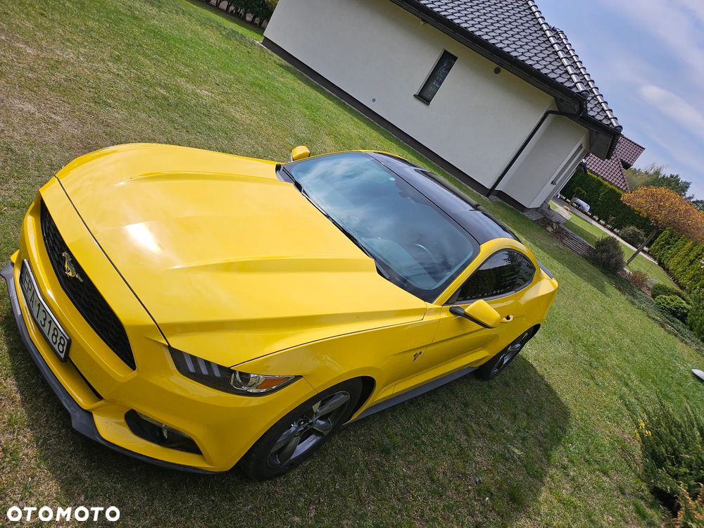 Ford Mustang 3.7 V6 - 10
