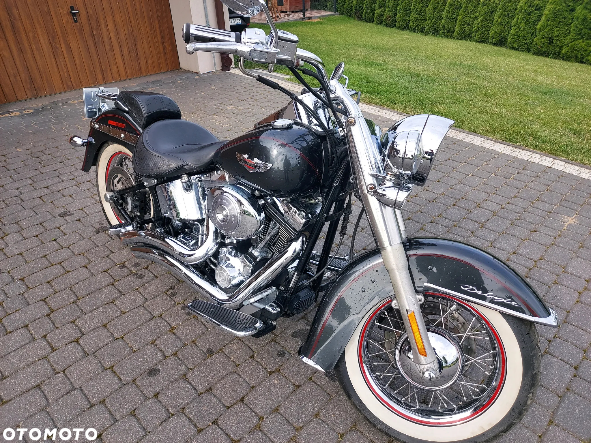 Harley-Davidson Softail Deluxe - 2