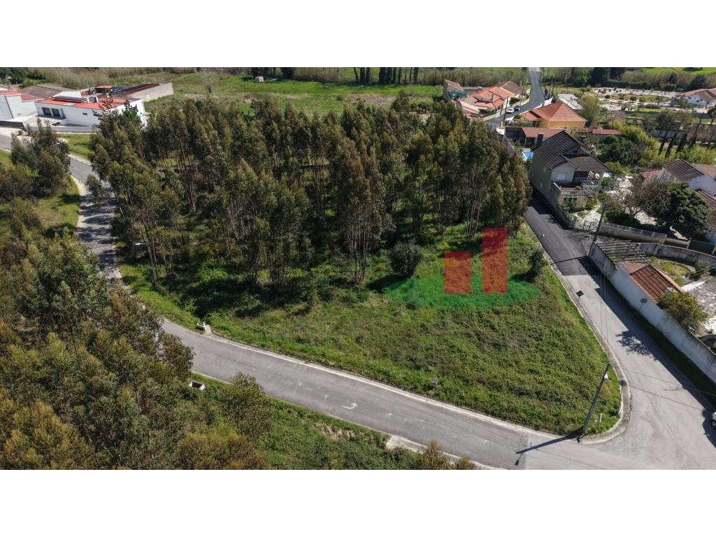 Terreno rústico Asseiceira***RIOMAGIC*** - Grande imagem: 2/20