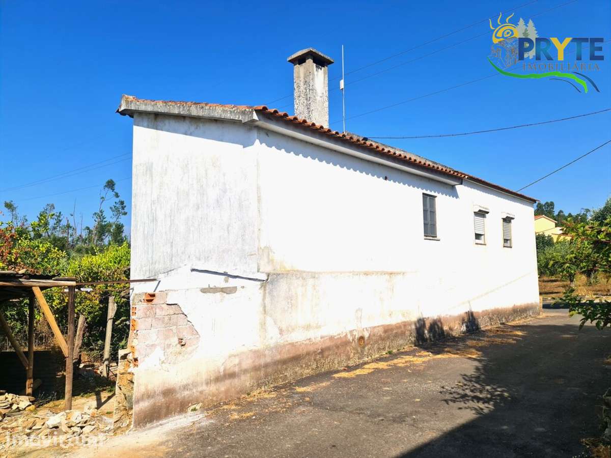 Quintinha às portas de Cernache do Bonjardim - Grande imagem: 2/34