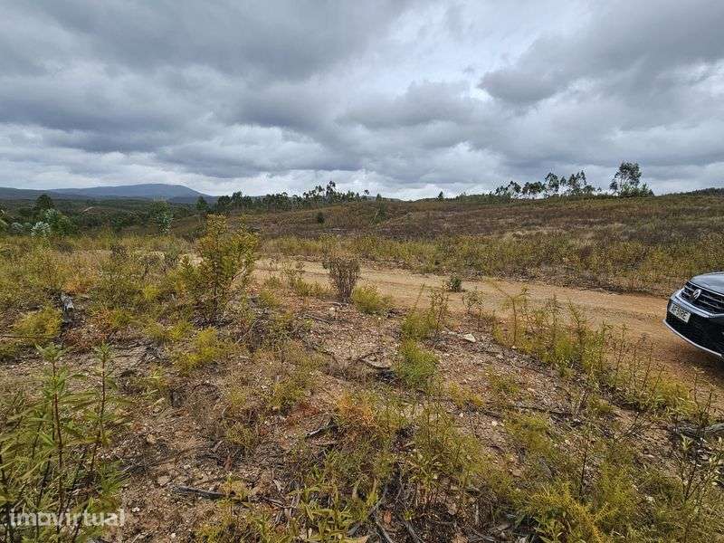 Terreno  Rural 10.200 M  junto a estrada 244 - Grande imagem: 3/12