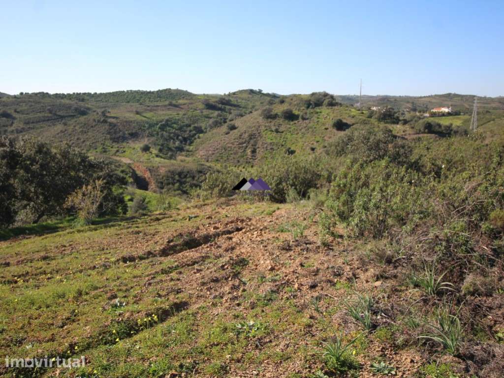 Terreno Rústico | 34.000 m² | Corga da Madeira - Junqueira, Castro ... - Grande imagem: 3/20