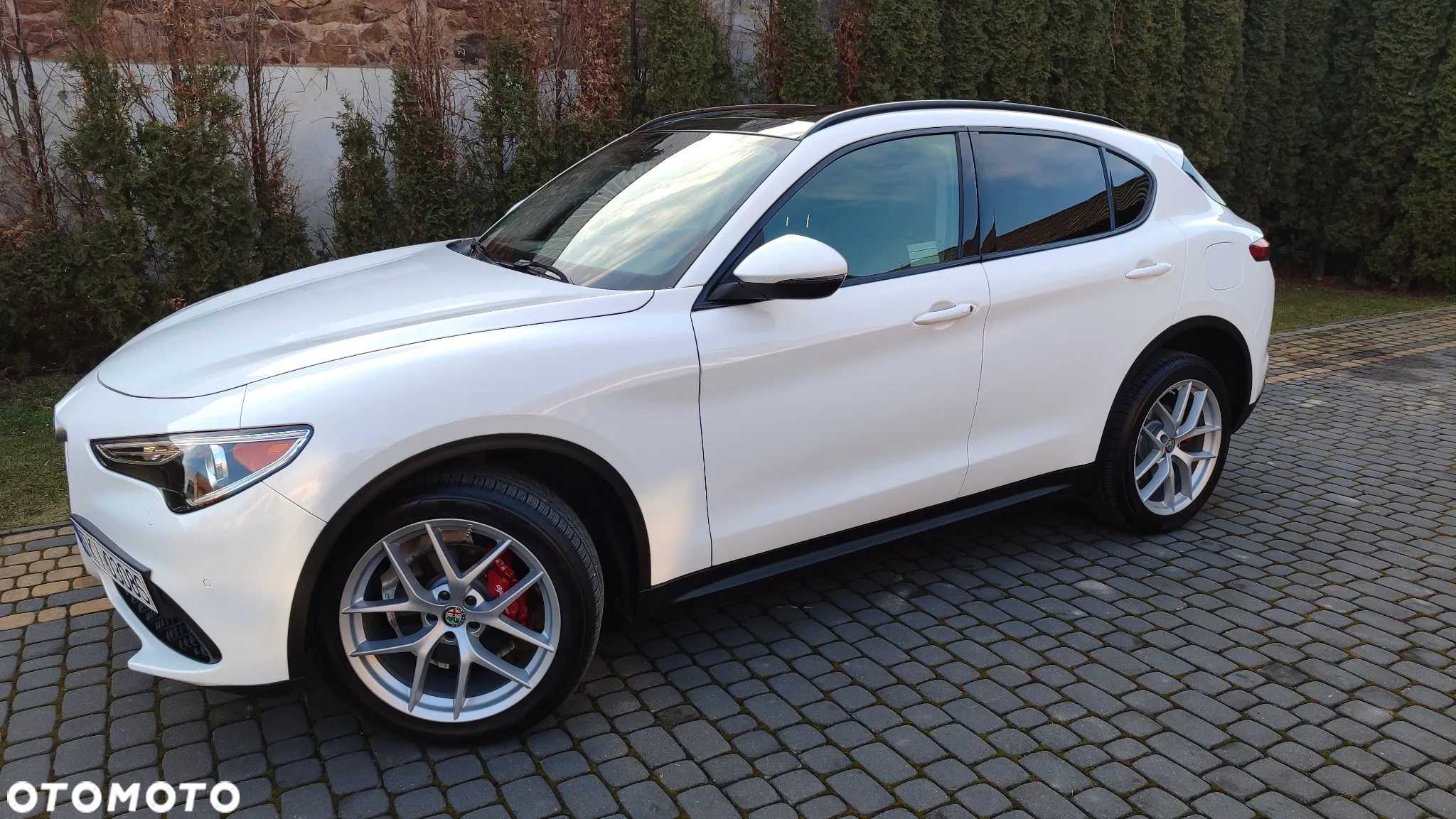 Alfa Romeo Stelvio 2.0 Turbo B-Tech Edition Q4 - 14