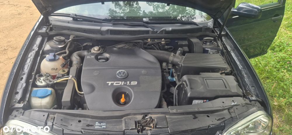 Volkswagen Golf - 22
