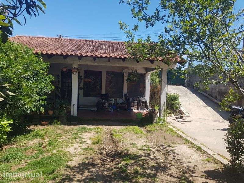 Estudio em espinho - Grande imagem: 3/9