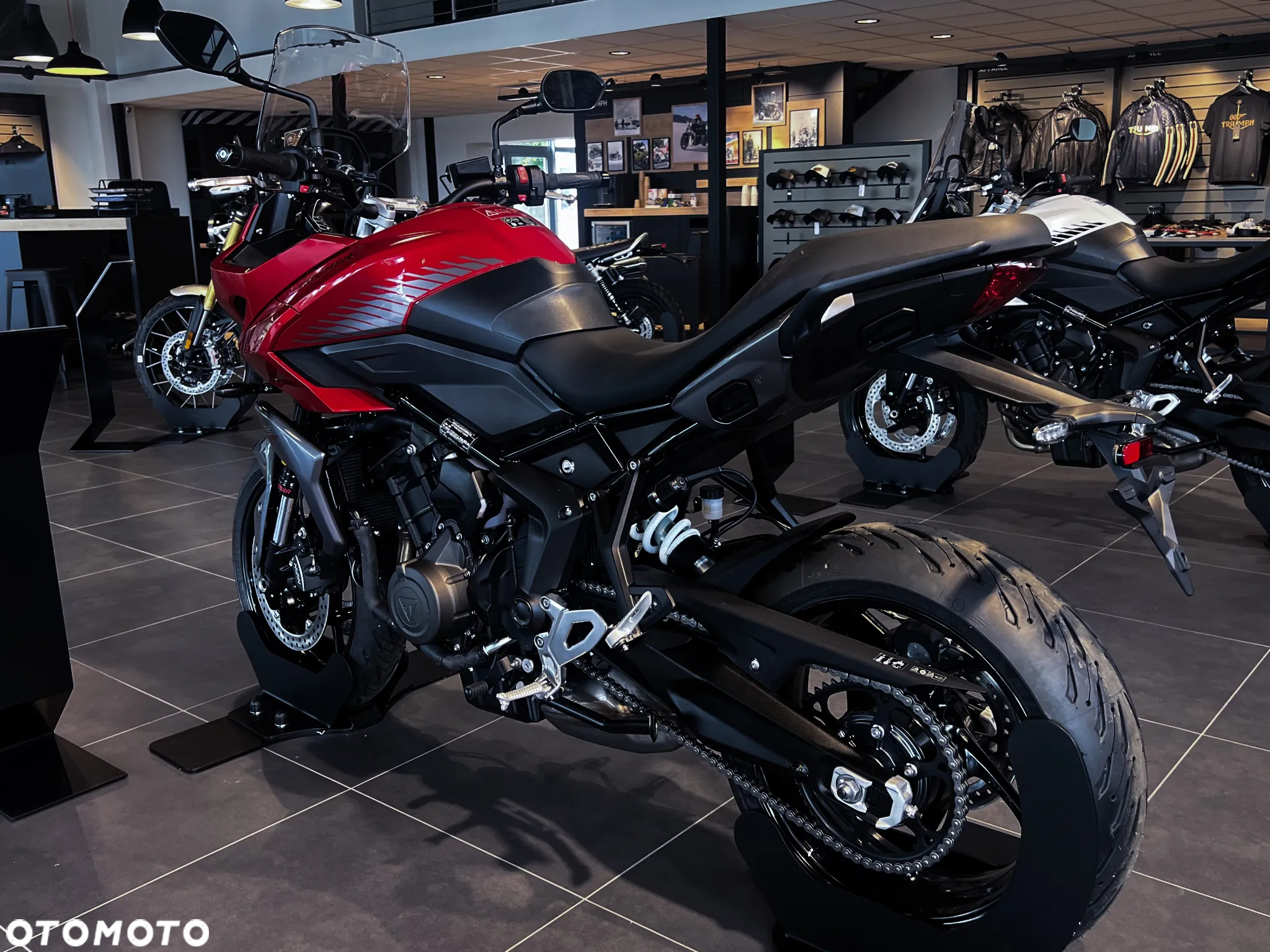 Triumph Tiger - 7