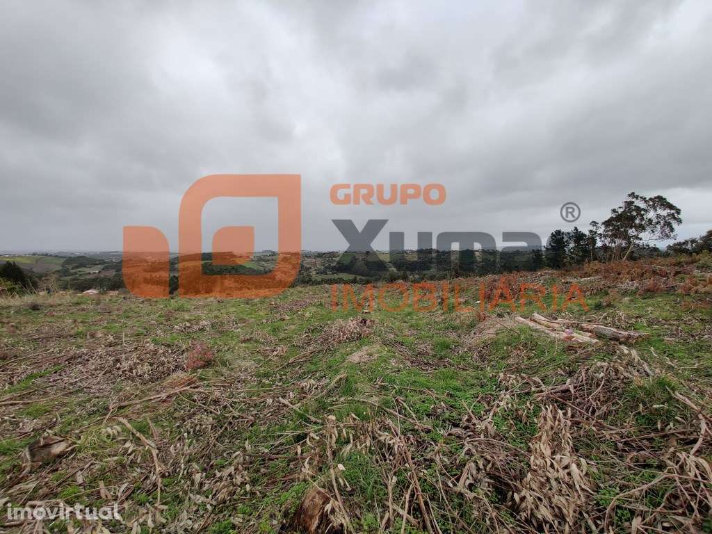 Terreno em Vidais para construção - Grande imagem: 5/5