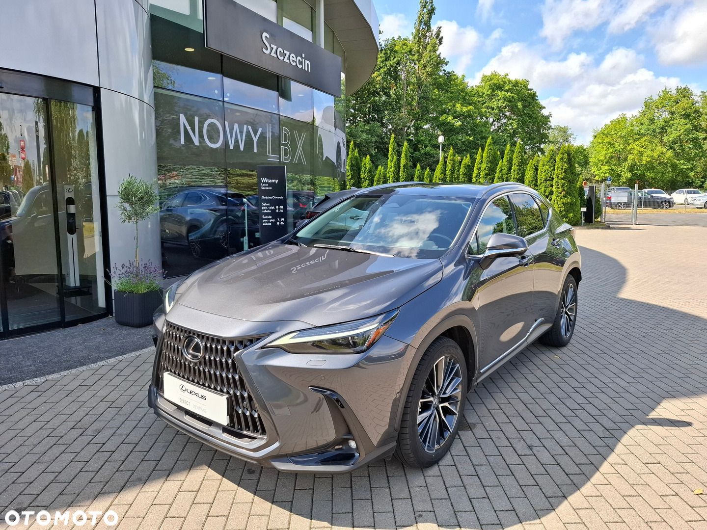 Lexus NX - 1