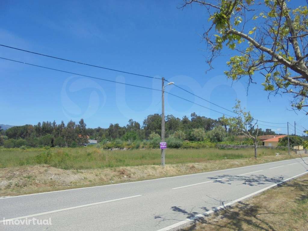Terrenos Rústicos Tondela - Grande imagem: 5/8