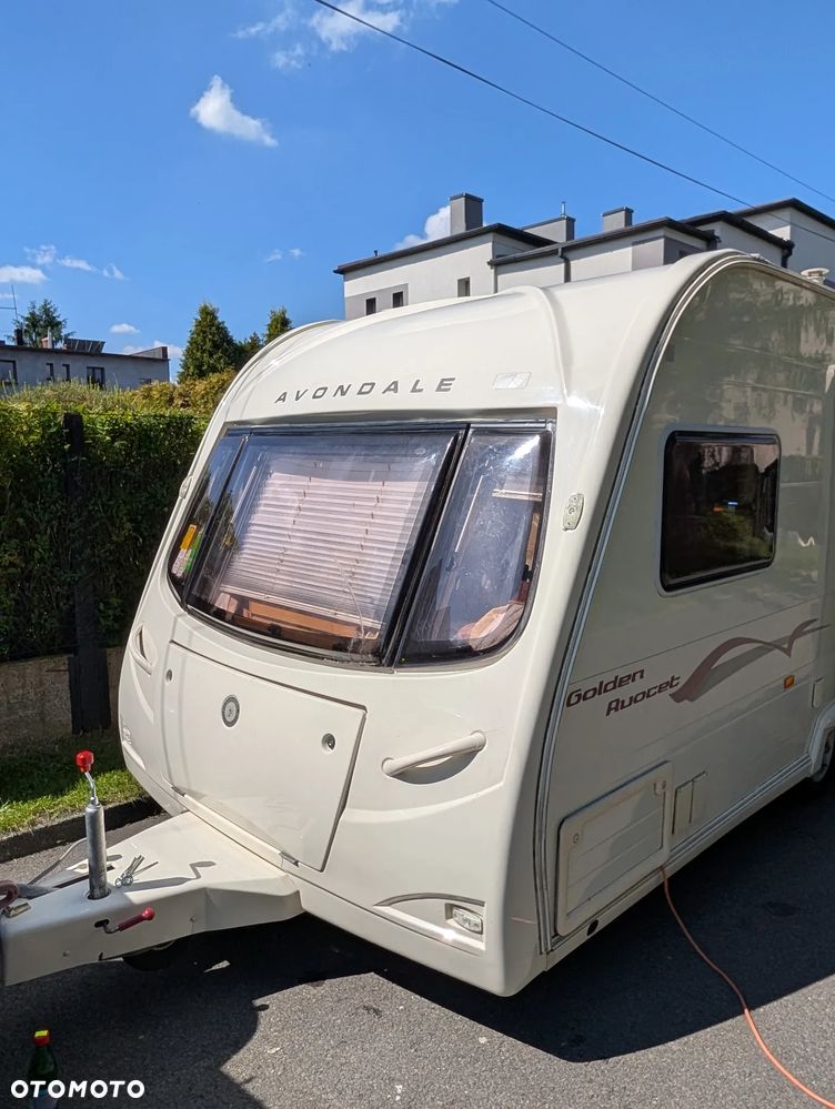 Avondale Golden Avocet - 1