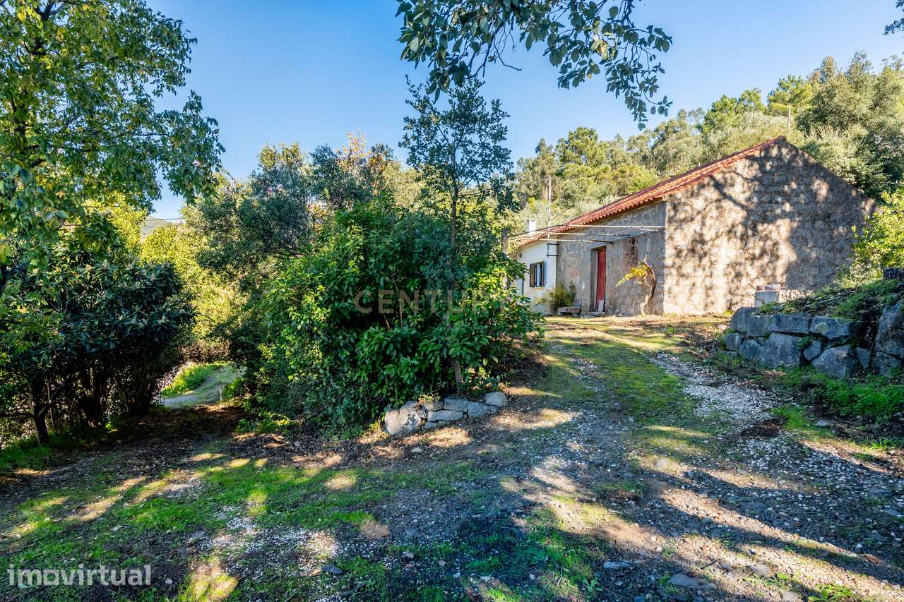 Moradia T3 na Serra de Monchique com Ambiente Rural e Privacidade Tota - Grande imagem: 4/40