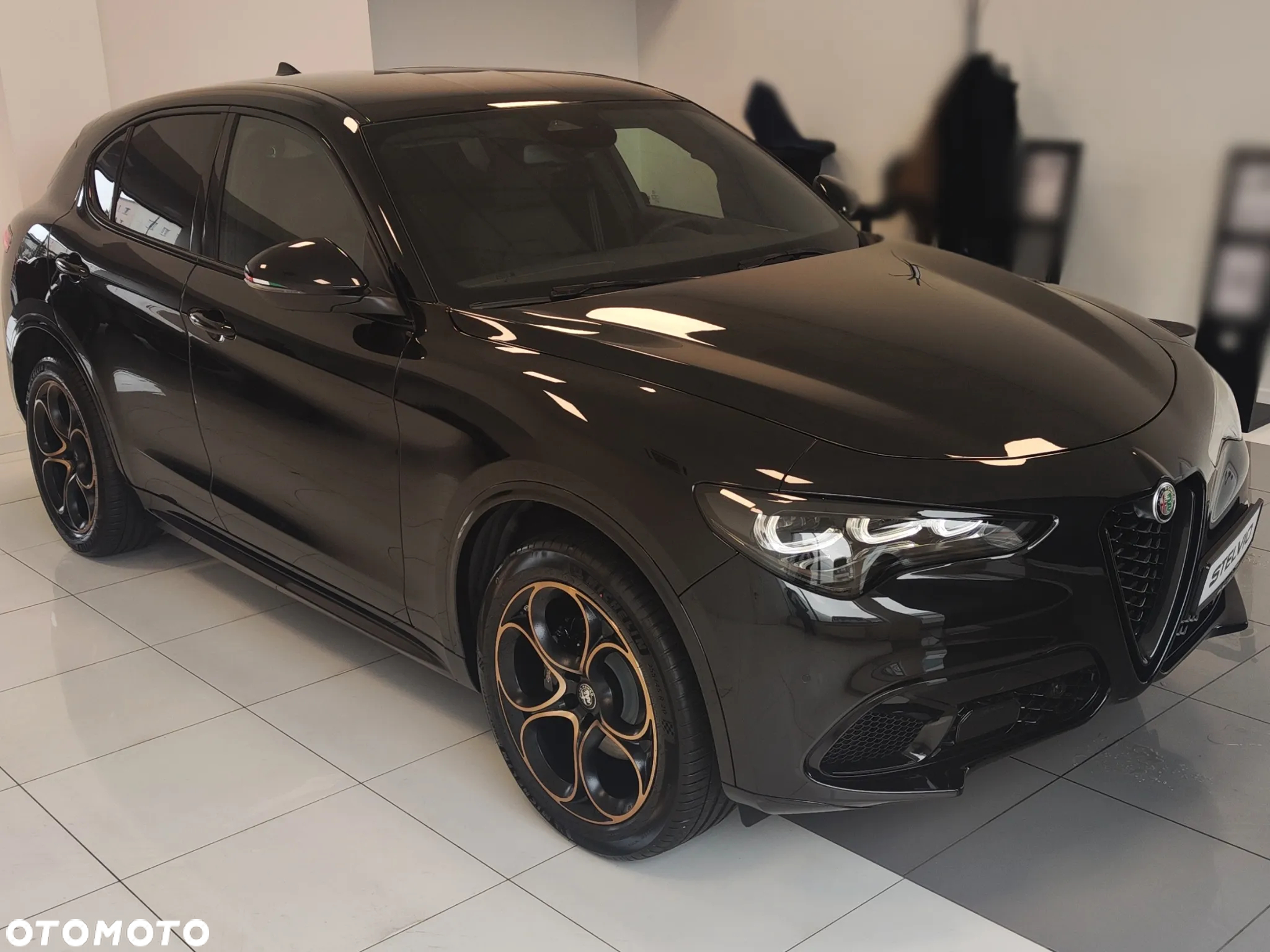 Alfa Romeo Stelvio 2.0 Turbo Intensa Q4 - 3