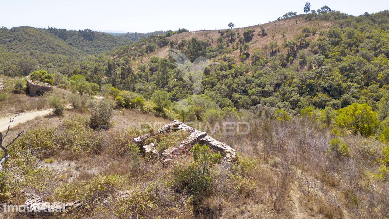 Quinta com 2,3000 ha e ruinas com 72 m2 a 11 Km de Odemira