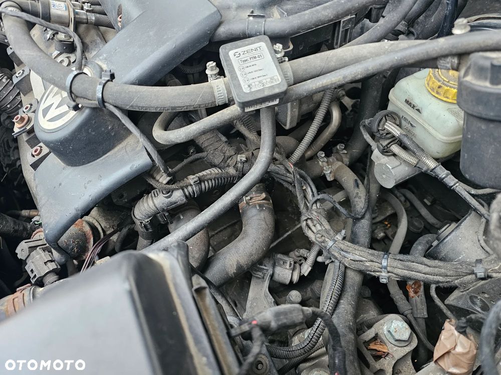 Volkswagen Golf IV 1.4 16V Basis - 16