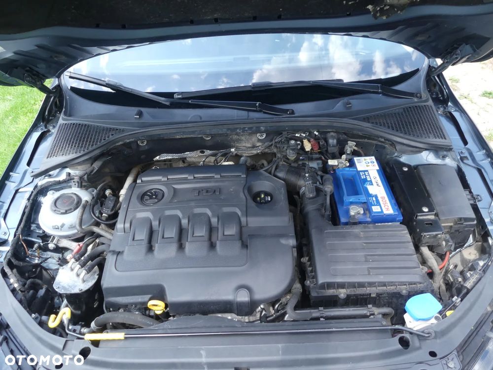 Skoda Octavia 1.6 TDI Ambition - 24