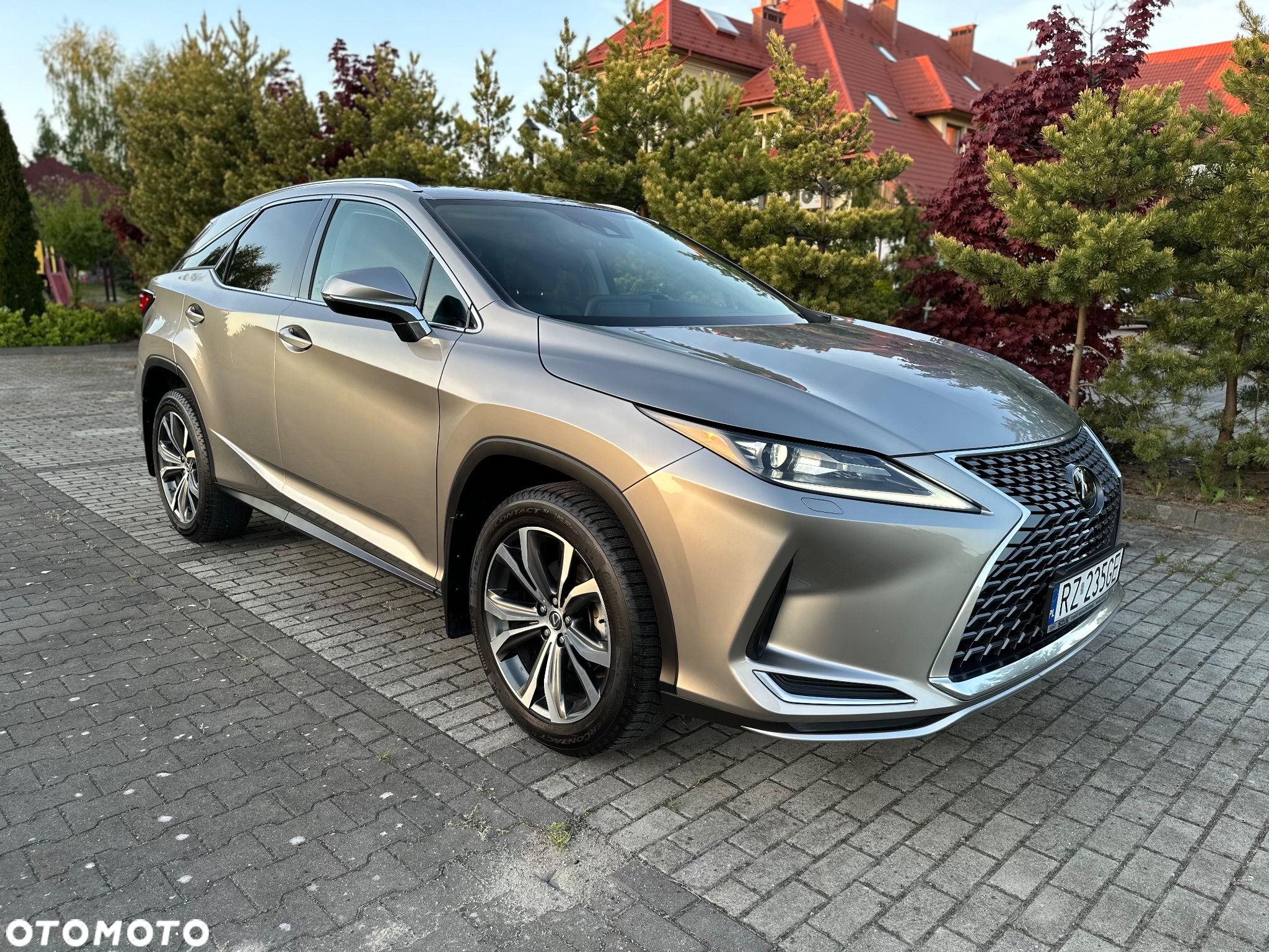 Lexus RX - 9