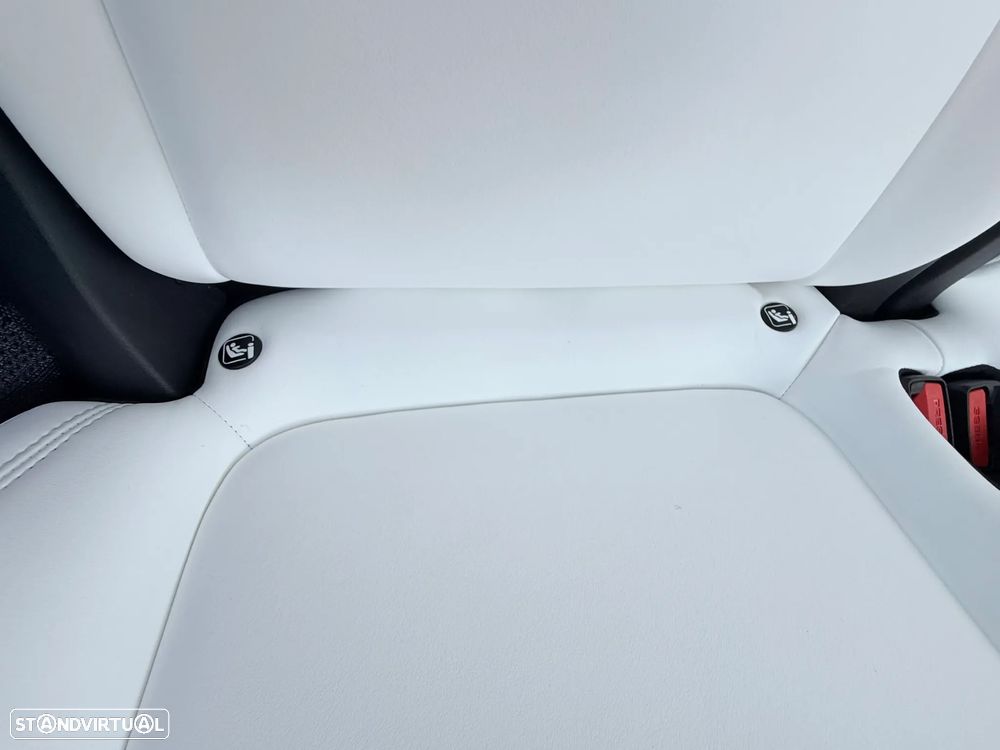 Tesla Model Y Performance Dual Motor AWD - 39