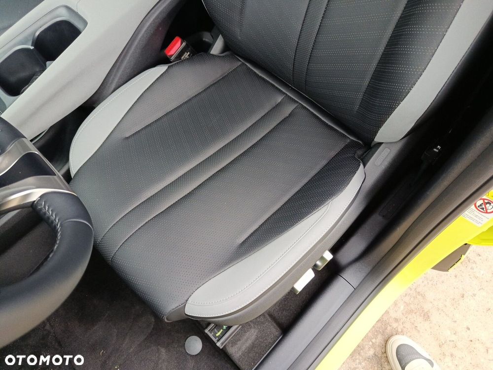 BYD Dolphin Surf - 13