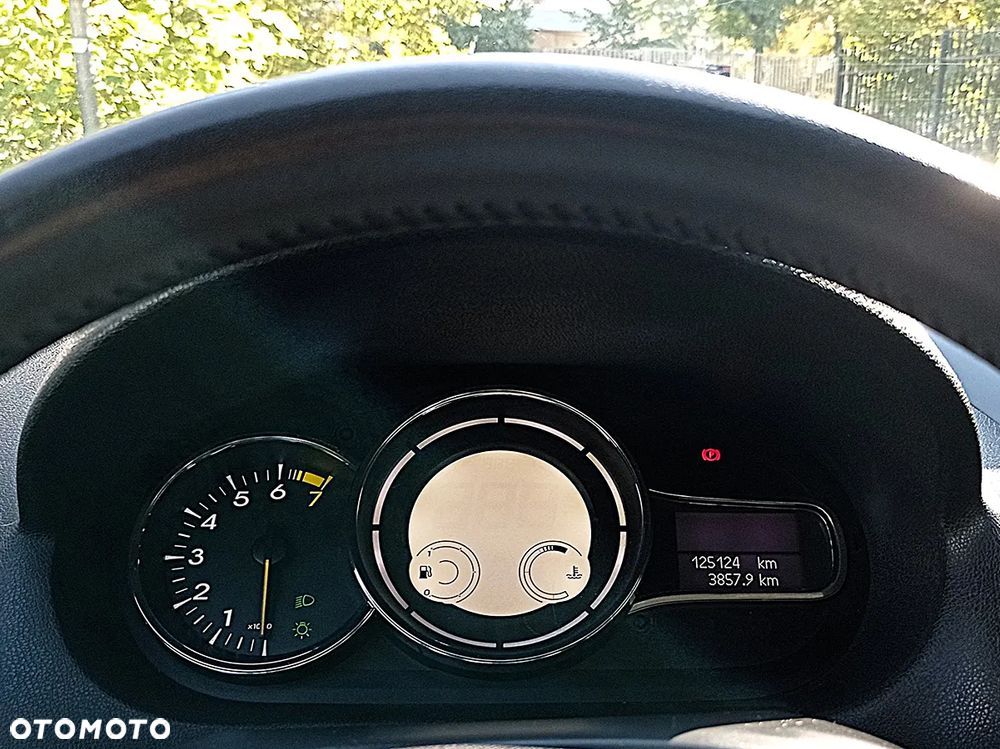 Renault Megane - 19