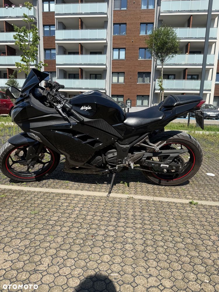 Kawasaki Ninja 300 ABS - 3