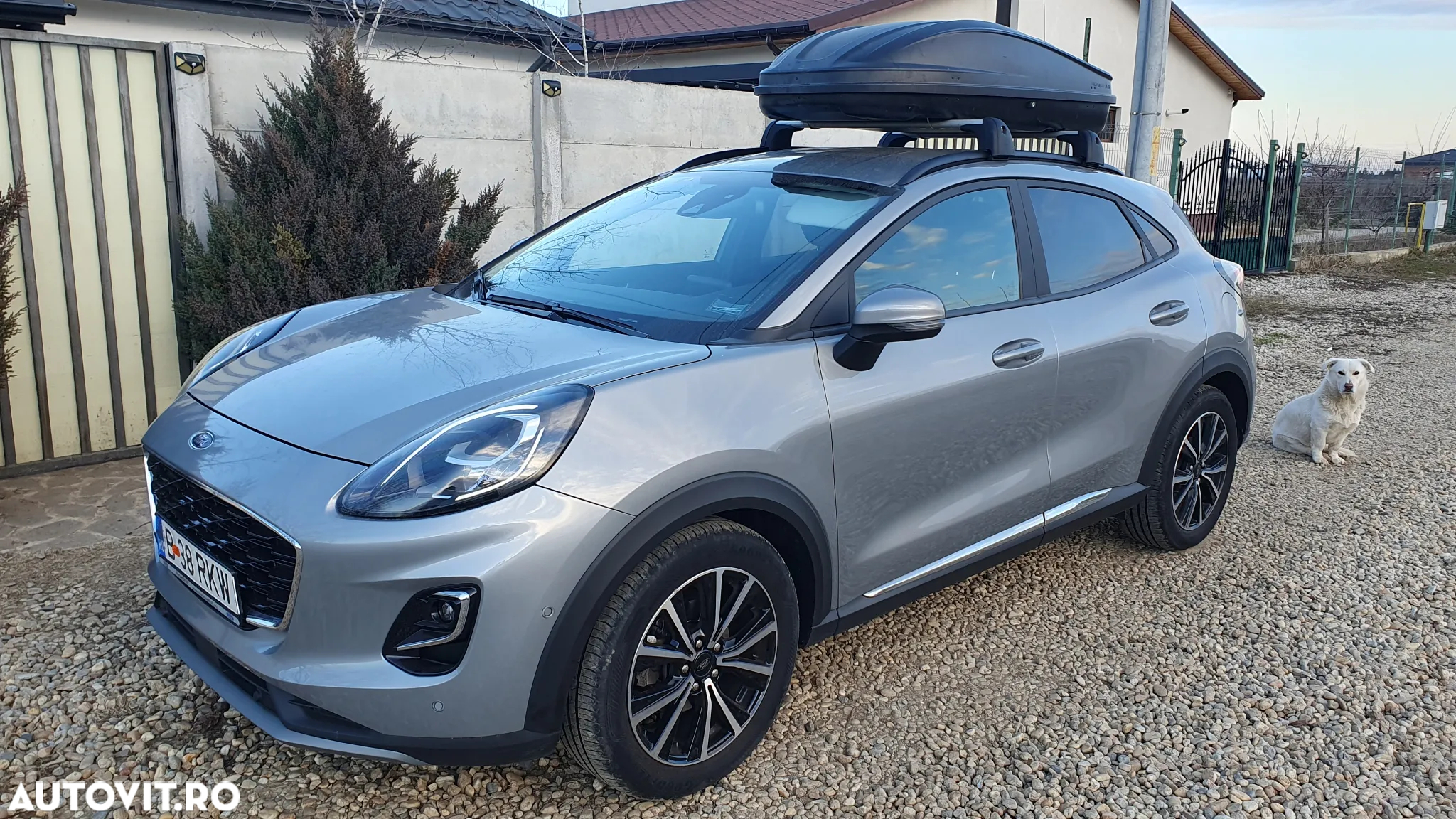 Bare Plafon Ford Puma EcoSport Originale - 2