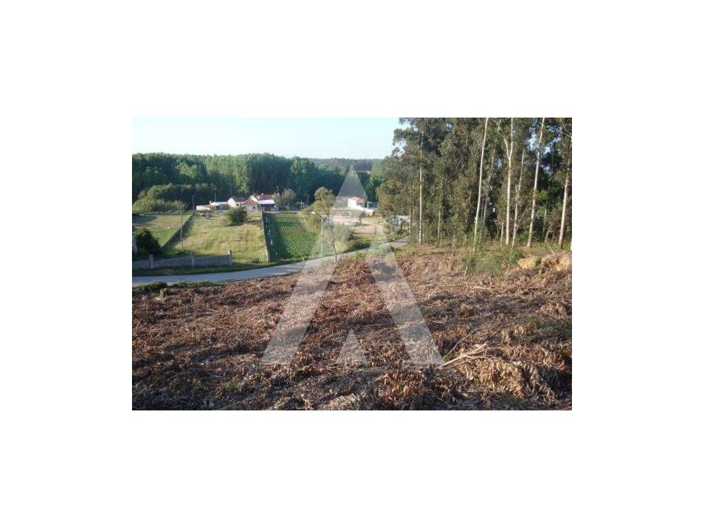 Terreno - Grande imagem: 4/5
