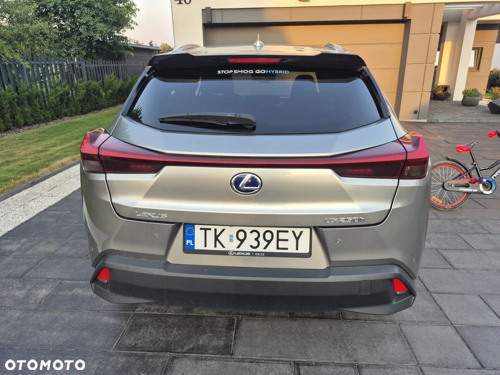 Lexus UX 250h GPF Business Edition 2WD - 14