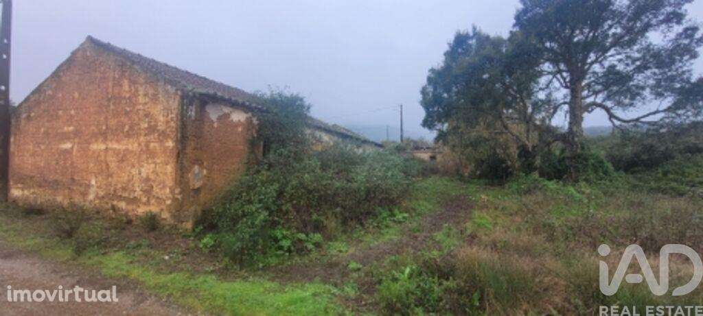 Quinta em São Teotónio de 240 m2 - Grande imagem: 2/10