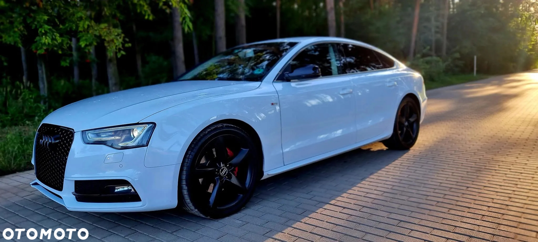 Audi A5 3.0 TDI Quattro S tronic - 5