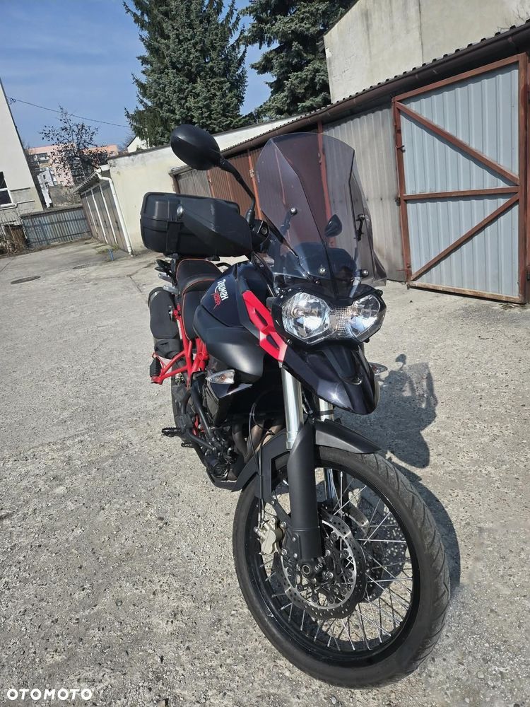 Triumph Tiger - 1