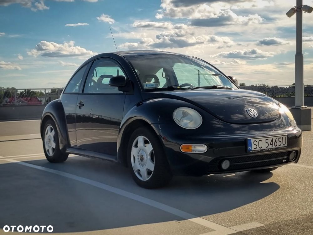 Volkswagen Beetle - 10