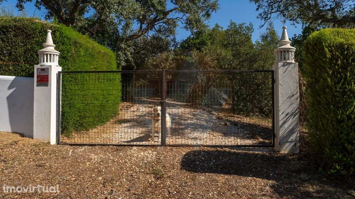 Fabulosa quinta - Grande imagem: 2/17