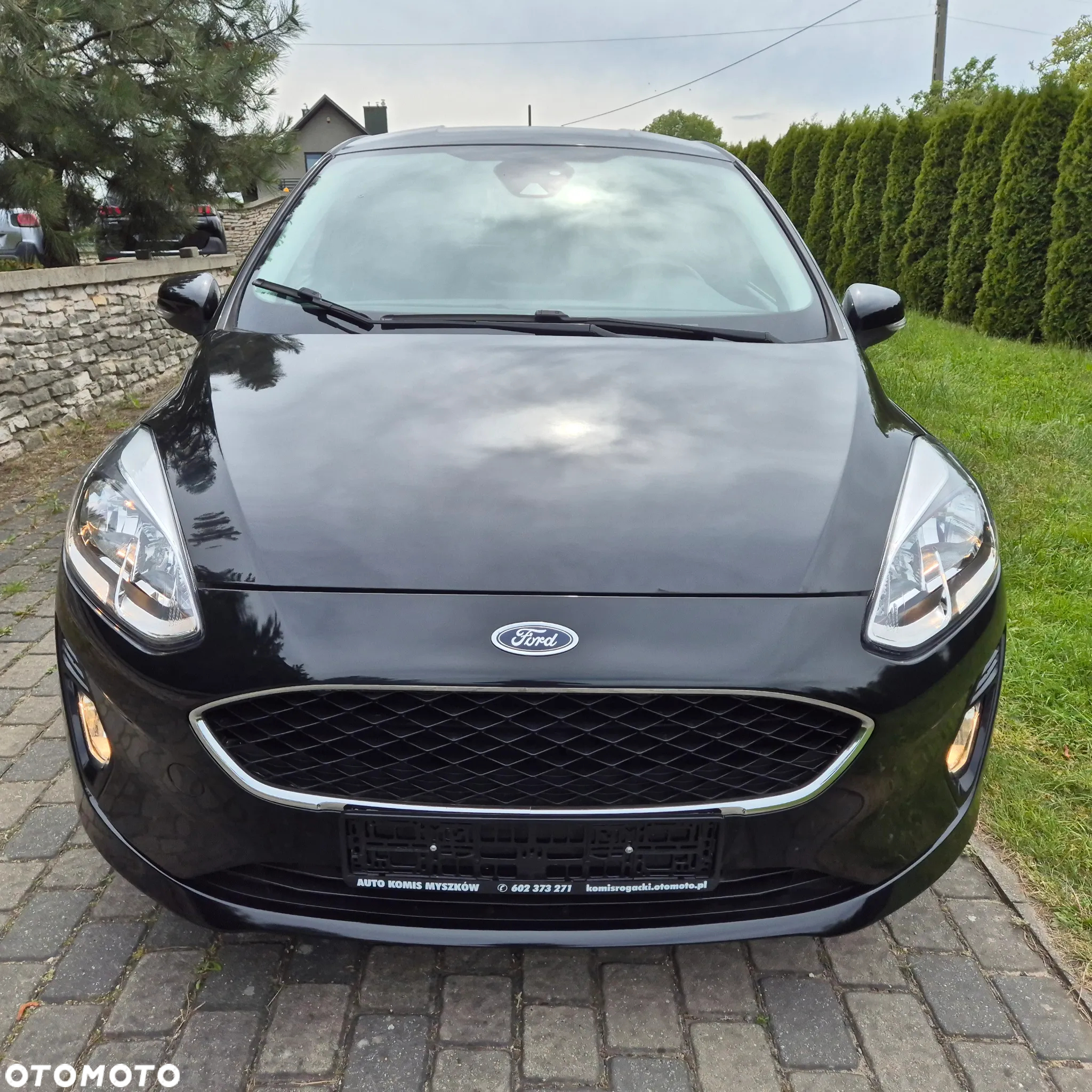 Ford Fiesta - 5