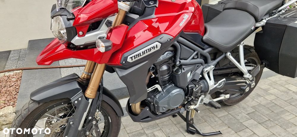 Triumph Tiger - 19