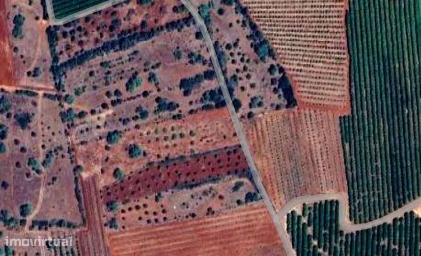 Terreno rústico plano com uma área de 7220 m² - Grande imagem: 2/6