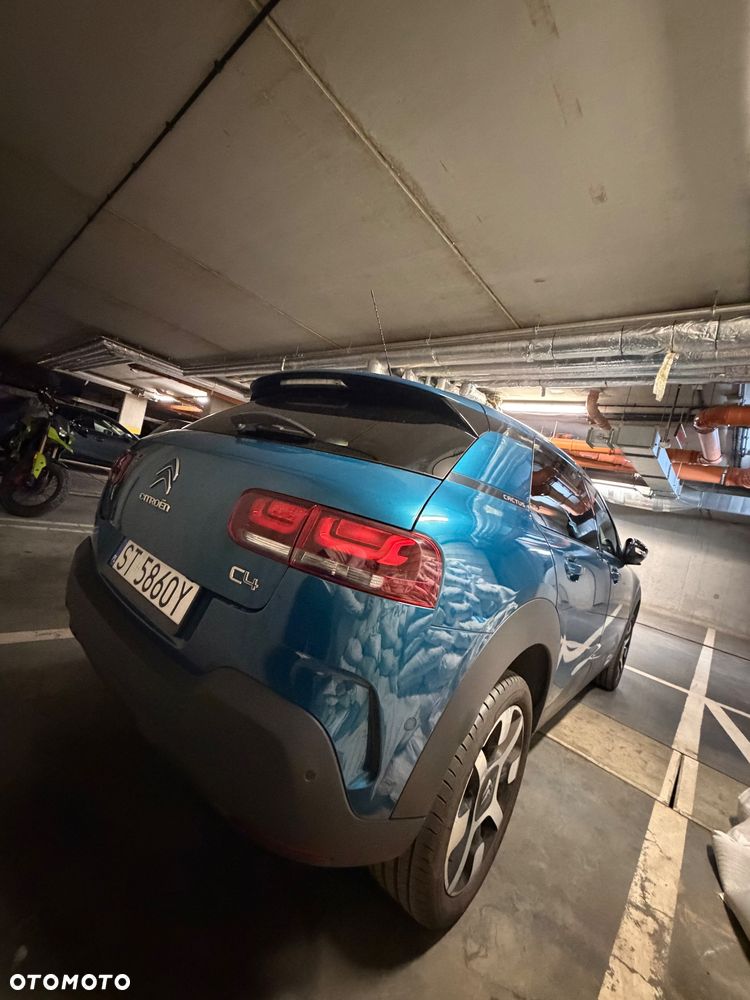 Citroën C4 Cactus 1.2 PureTech GPF Shine S&S EAT6 - 19