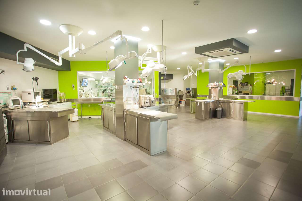 Hospital Veterinário de Referência à Venda no Centro de Santarém – Imó - Grande imagem: 5/60