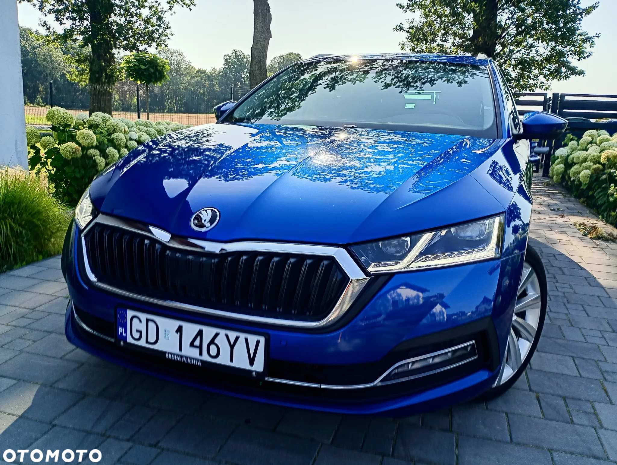 Skoda Octavia - 3