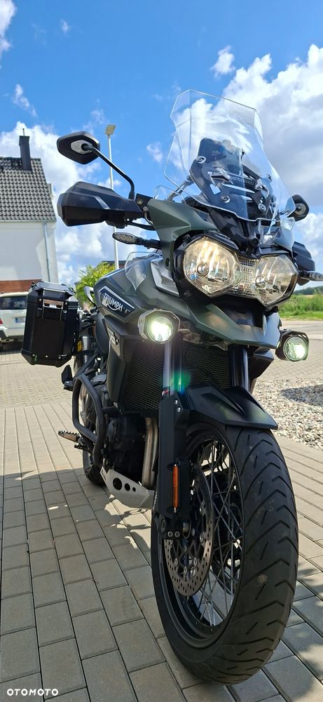 Triumph Tiger - 36