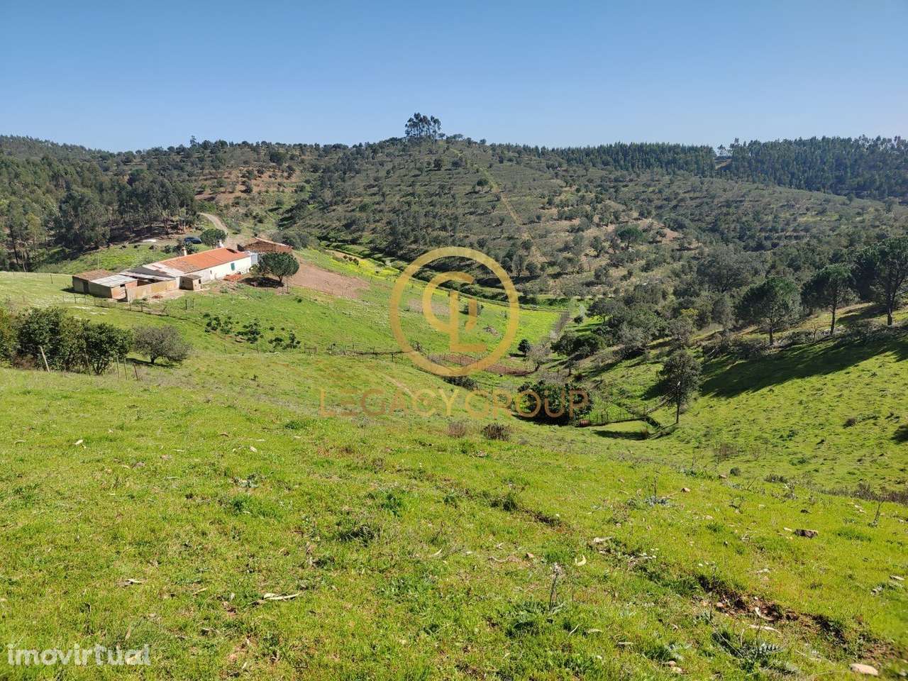 Quinta de 15 ha com habitação de 112m2 em São Martinho das Amoreiras - Grande imagem: 5/44