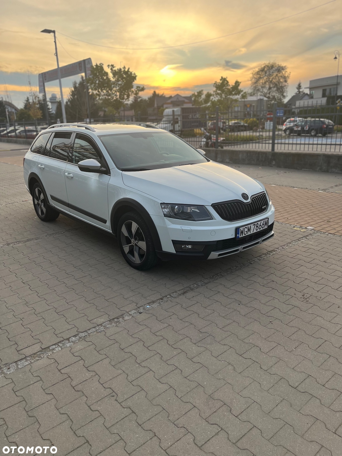 Skoda Octavia Combi 2.0 TDI (Green tec) 4x4 DSG Scout - 6