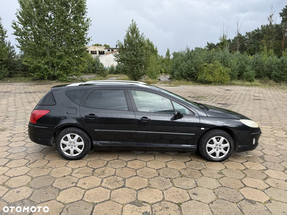 Peugeot 407 - 8