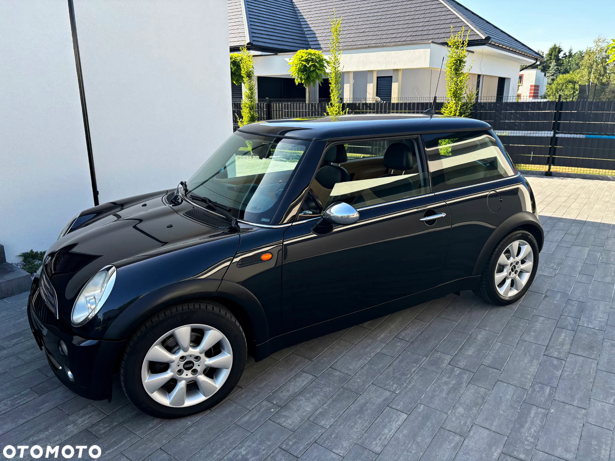 MINI Cooper pepper - 3