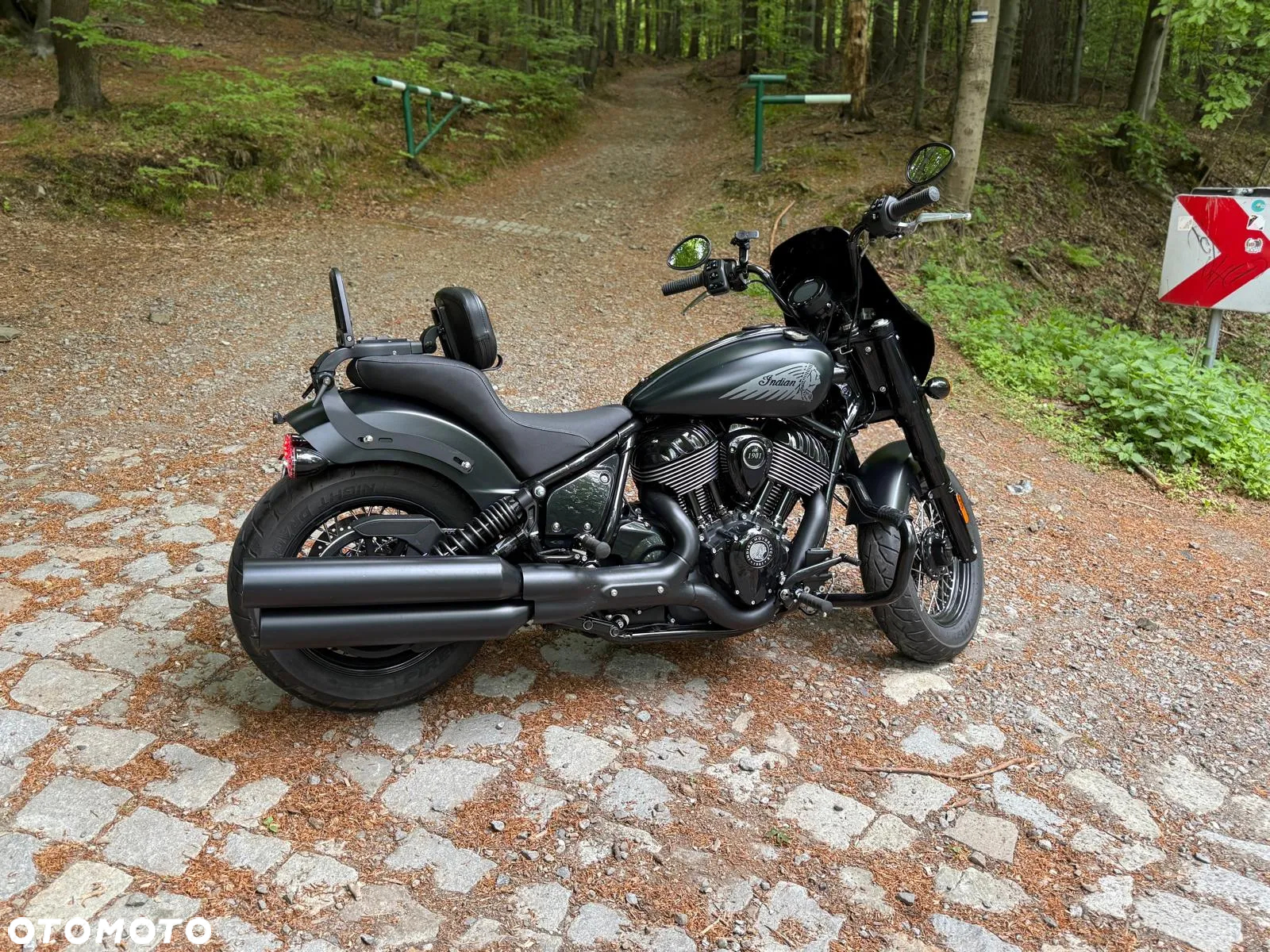 Indian Chief - 7